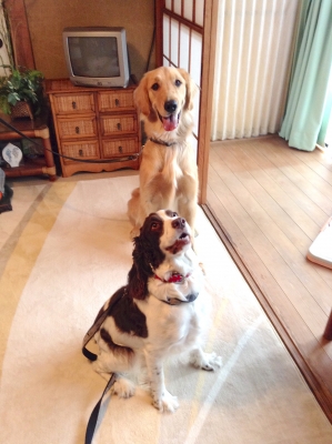 2013-12-23-01.jpg