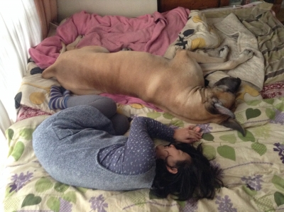 2013-12-23-02.jpg