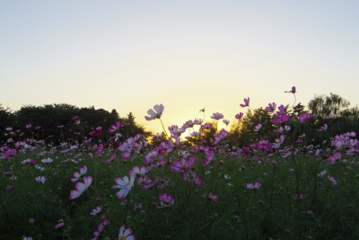 2014-09-28-sunset.jpg