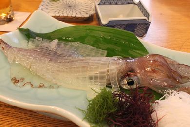 IMG_0362_201311261712420d6.jpg