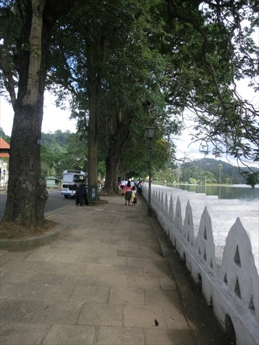 CIMG2815_R.jpg