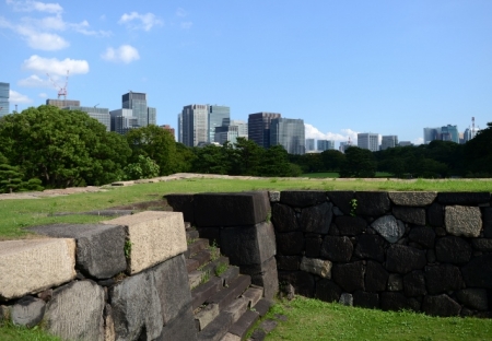 DSC_8910 (640x444)