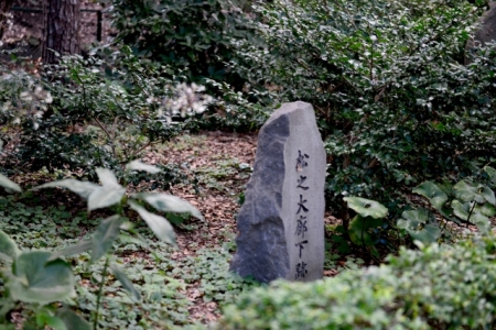 DSC_8871 (640x427)