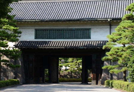 DSC_8966 (640x444)
