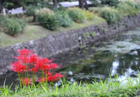 DSC_2160 (640x443)