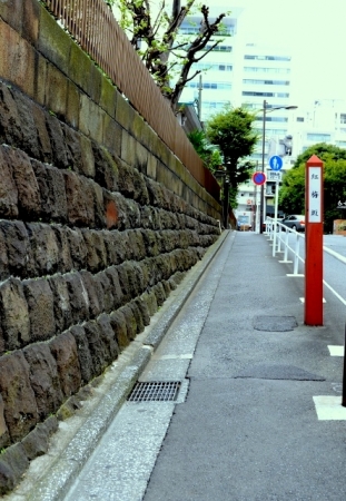 DSC_2851 (443x640)