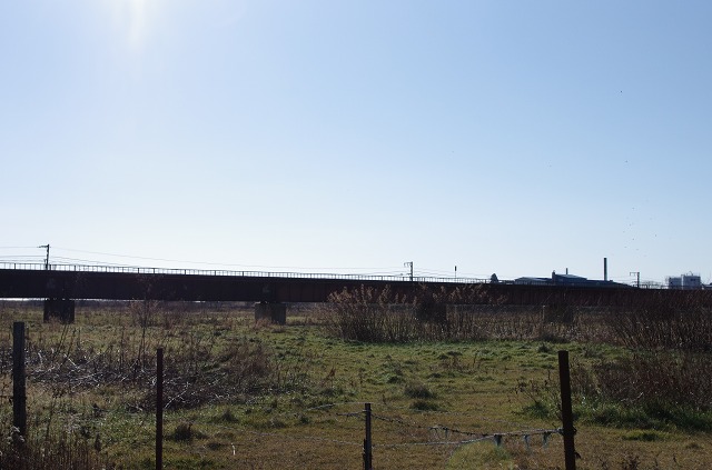 K_5_7125.jpg