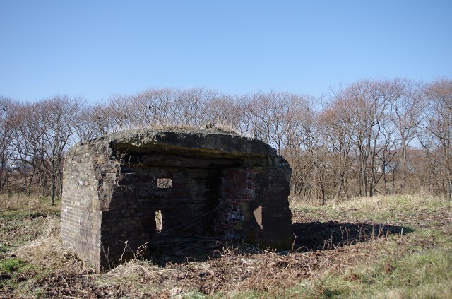 K_5_7139.jpg