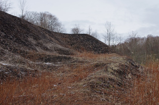 K_5_7400.jpg