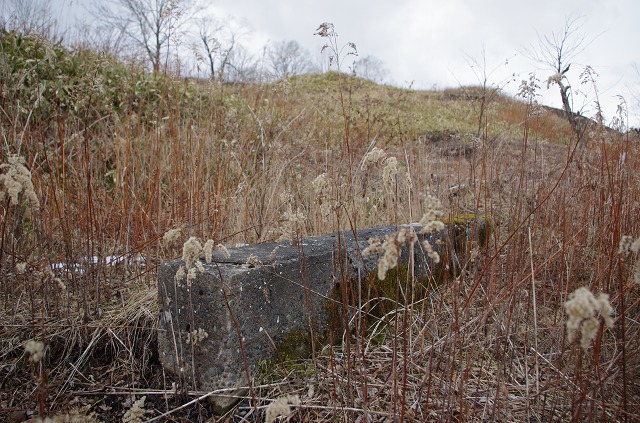 K_5_7466.jpg