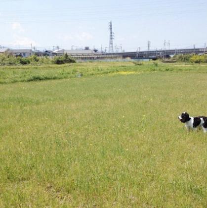 富士山も見える