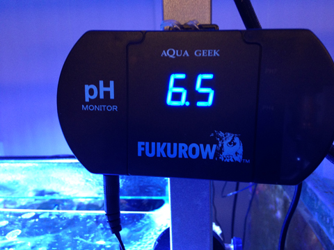 20131126pH.jpg