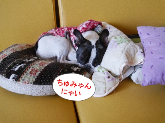 P1110050.jpg