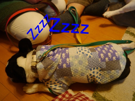 P1110302.jpg