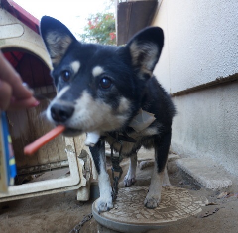 201312220759572a8.jpg
