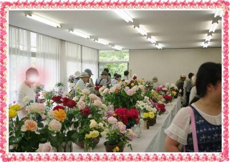 rose519 012