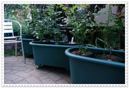planter 037