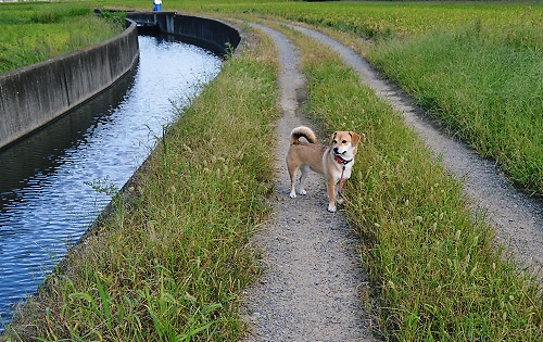 02_20110917212256.jpg
