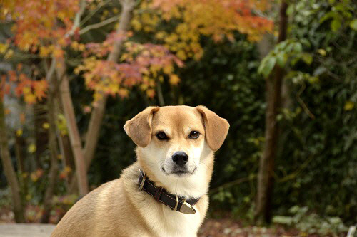 今日も たろうと。