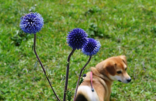 2_20111006215228.jpg