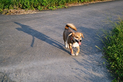 3_20110914215825.jpg
