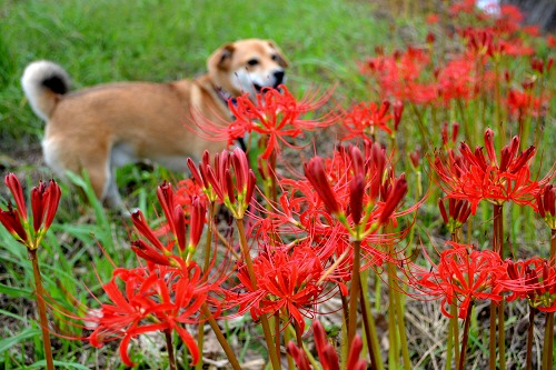 3_20110919214501.jpg
