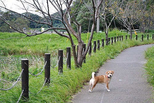 3_20111020213141.jpg