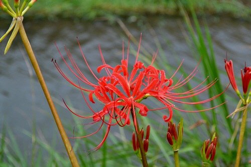 5_20110919214500.jpg