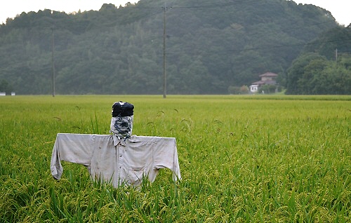 5_20110928214100.jpg