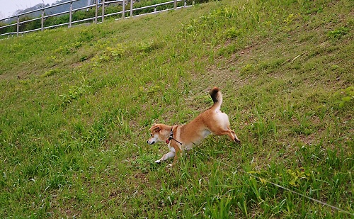 5_20111010200413.jpg