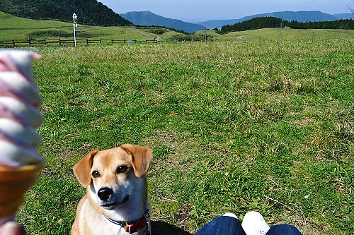 6_20111005210114.jpg
