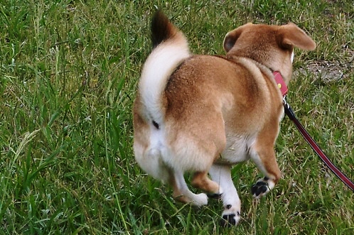 6_20111010200412.jpg