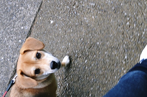 6_20111020213138.jpg