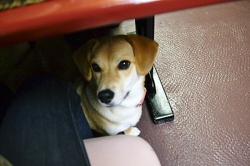 7_20111003212251.jpg