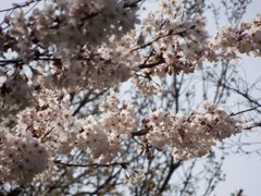 2012_0402_1.jpg