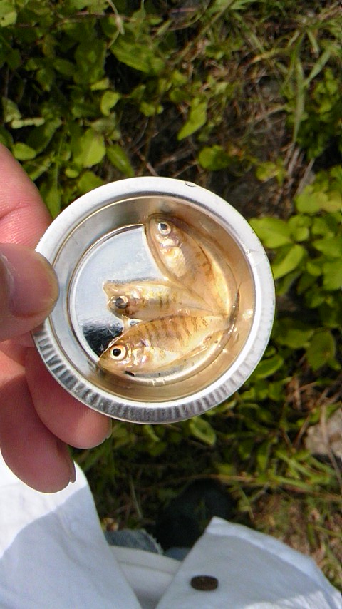 20120506st02.jpg