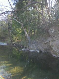 20120408_131542.jpg