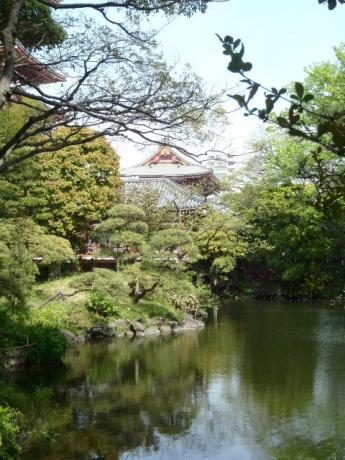 伝法院