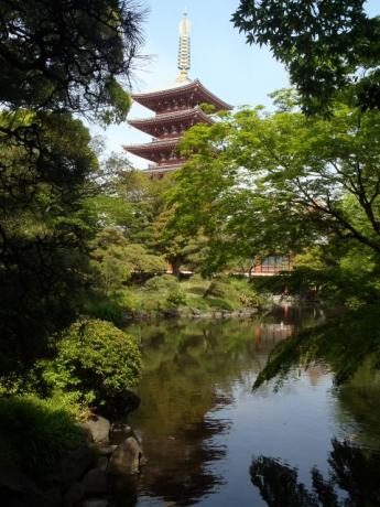 伝法院