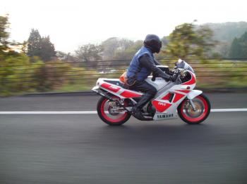 SANY00041_convert_20111114220628.jpg