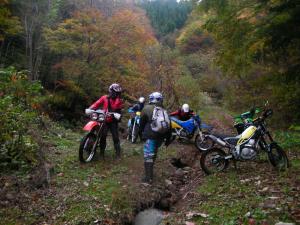 SANY00081_convert_20111031070318.jpg