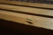 110930-4.jpg