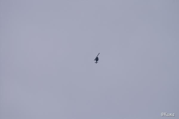 PICT2076.jpg