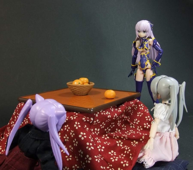 こたつ7