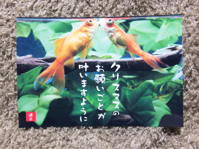 クリスマス色々