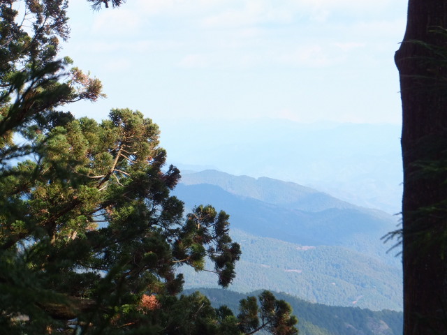富士山・・・