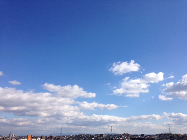 三河の山、今週中に・・・