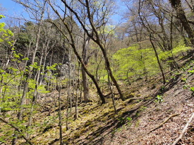 10_20130514214545.jpg