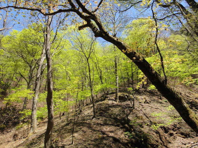11_20130514214544.jpg