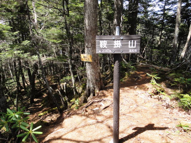 11_20130520221958.jpg